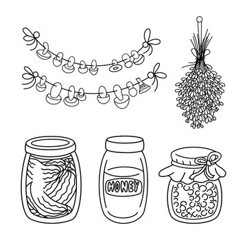Vintage home pantry vegan Food Supplies vector set. Homemade ingredients, Preserves, glass Jar, canned jam, honey, pickles, dried lavender and mushrooms on the rope. Elements isolated, coloring page