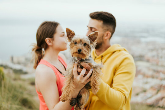 Young couple holding yorkshire terrier dog in hand while looking at each other