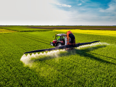 Tractor spraying pesticide on wheat field during sunny day