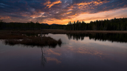 The sky is dramatic in the deep forest of Norway. Shot outside Oslo, Nordmarka. Triungsvanna.