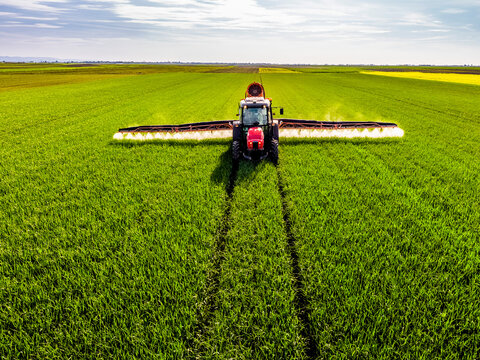 Crop sprayer sprinkling herbicide on wheat farm during springtime