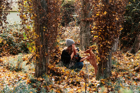 Woman photographing dog amidst trees in forest during autumn