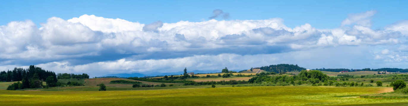 A panorama image of farm land in the Wilamette valley near Dallas, Oregon