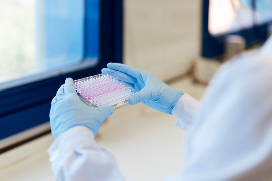 Female scientist wearing protective glove holding multiwell plate while analyzing in lab