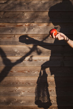 Girl holding apple by shadow on wooden wall