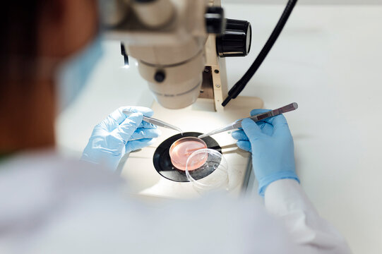 Mature female medical expert using tweezers while analyzing medical samples through microscope in lab