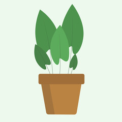 Home plant in a pot. Indoor flower. Vector illustration. Isolated background.