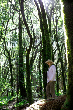 Mature man with hand in pocket standing by tree in Garajonay National Park on sunny day, La Gomera