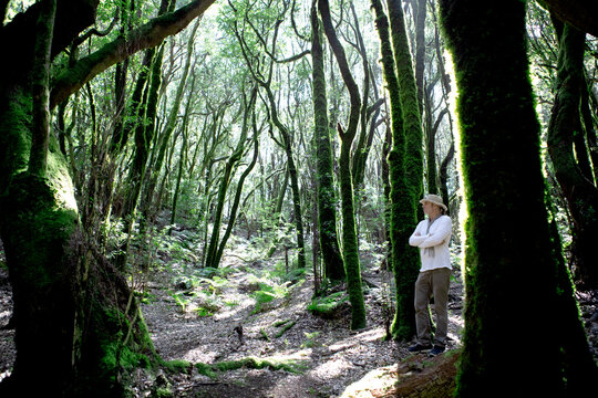Mature man with arms crossed standing by tree in Garajonay National Park, La Gomera