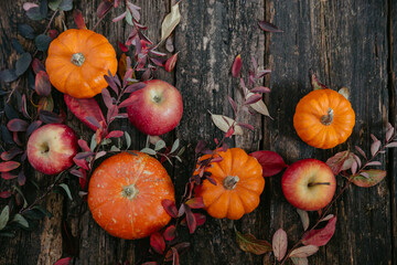 pumpkins, apples and autumn leaves on a dark wooden background. Autumn rustic background. Copy space