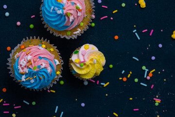Fototapeta na wymiar Birthday cupcake with sprinkles