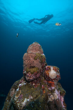 Silhouette of female diver swimming over underwater rock formation