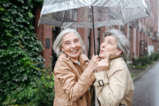 Happy mature friends holding umbrella on rainy day