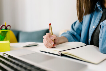 Female professional writing on diary at home office