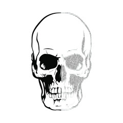 Skull sign, half made up of binary ones and zeros machine code. Vector illustration.