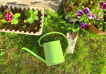 green watering can, flower pots and gardening gloves, gardening