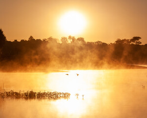 sunrise over the lake (amanhecer com neblina no lago) 