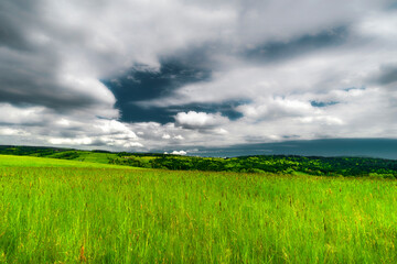 Obraz premium green field and blue sky