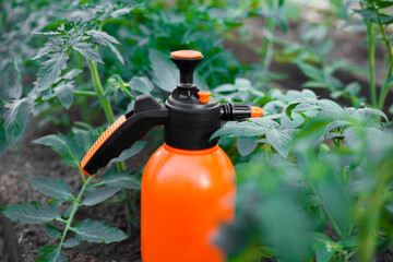 Close-up manual garden hand compression sprayer with pump. Orange sprayer in greenhouse. Farmer spraying tree with manual pesticide sprayer against insects in autumn garden. Agriculture and gardening - obrazy, fototapety, plakaty
