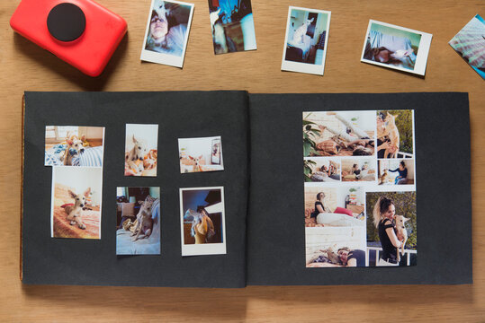 Scrapbook with photographs of greyhound dog with owner
