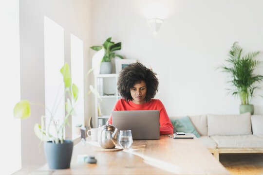 Young Woman Working On Laptop While Sitting At Home