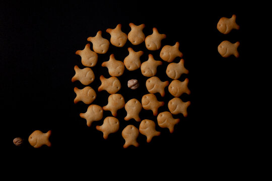 Galletas saladas con forma de peces en distintas posiciones
