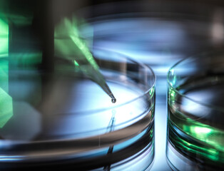 Pipetting sample into petri dish during medical research