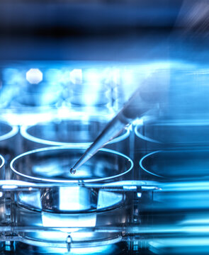 Stem cell sample being pipetted into micro well plate at laboratory