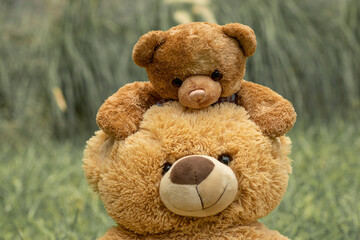 Teddy bear with little bear outdoors
