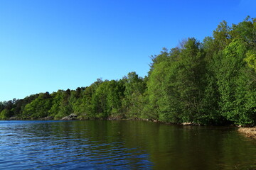 A nice and pretty Swedish landscape. Summer day with a calm lake and one green forest in the background. Clear blue sky. Good weather. Stockholm, Sweden, Scandinavia, Europe.