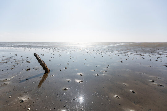 Denmark, Romo, Low tide mud flat on sunny day