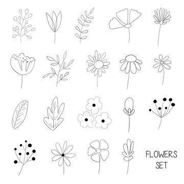 set of vector flowers on a white background in the style of doodle. elements for creating a design with flowers