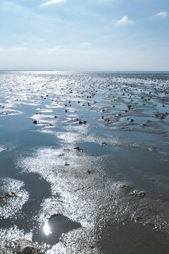 Denmark, Romo, Low tide mud flat