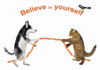 A dog husky and a beige cat are playing in tug of war. They pull a sausage. Believe in yourself. White background. Isolated.