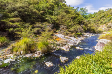 Wild riversurrounded by lush vegetation
