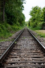 Fototapeta na wymiar empty railroad tracks through a green forest in diminishing perspective