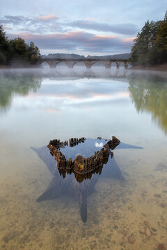 Tree stump in water at river during sunset