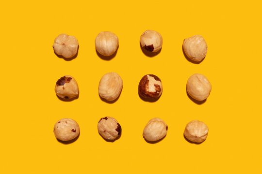 Imperfect organic roasted hazelnuts in rows against yellow background
