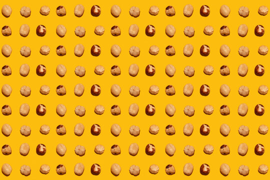 Imperfect organic roasted hazelnuts in rows against yellow background