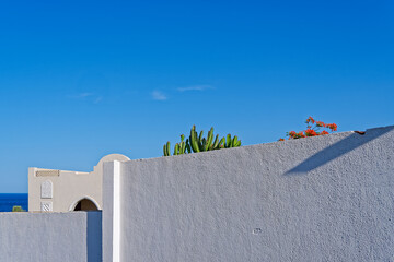 A tall cactus, a flowering tree, the building is behind a white textured stone wall near the sea against the backdrop of a clear blue sky. Minimalist abstract architectural concept.