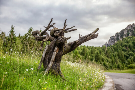 Spooky tree trunk on grass in Province of Brescia, Lombardy, Italy