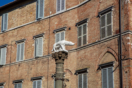 Italy, Tuscany, Siena, Sculpture of wolf, Romulus and Remus standing in front of historical townhouse