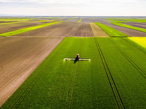 Tractor Fertilizing Uncultivated Wheat Farm