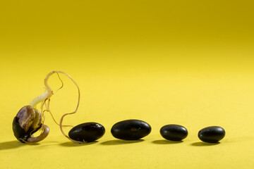 A spouted bean lined up with other beans