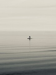 silhouette of a man on a supboard at the sea
