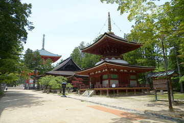 Naklejka premium 高野山壇上伽藍 東塔 和歌山県高野町