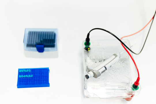Microtube rack with pipette and electrophoresis apparatus in laboratory