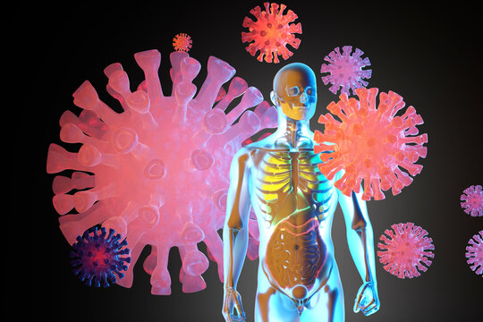 3D Illustration of human anatomy visualisation with skeleton and internal organs surrounded by virus