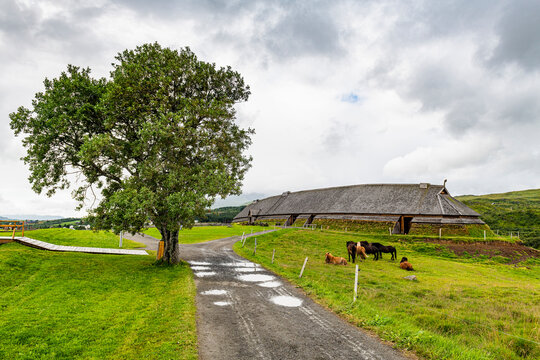 Horses grazing by Lofotr Viking Museum at Vestvagoy, Lofoten, Norway