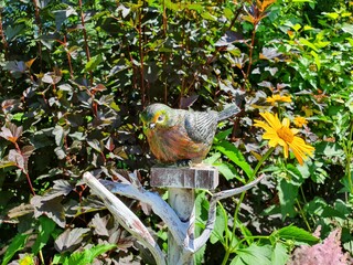 The figure of a bird made of wood.  It is used to decorate the garden.